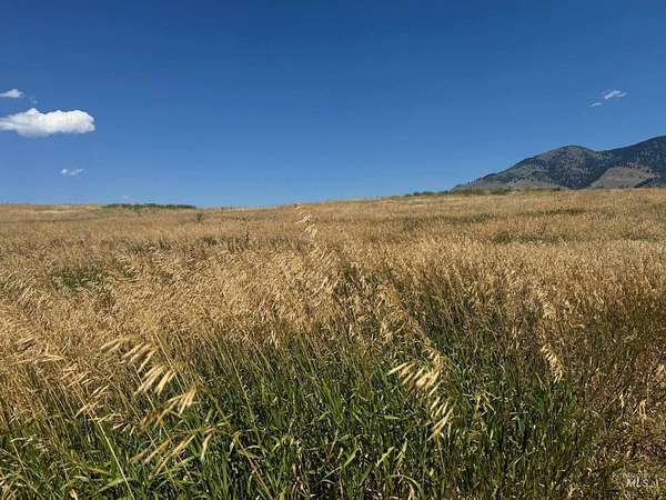 20 Acres of Land for Sale in Pollock, Idaho