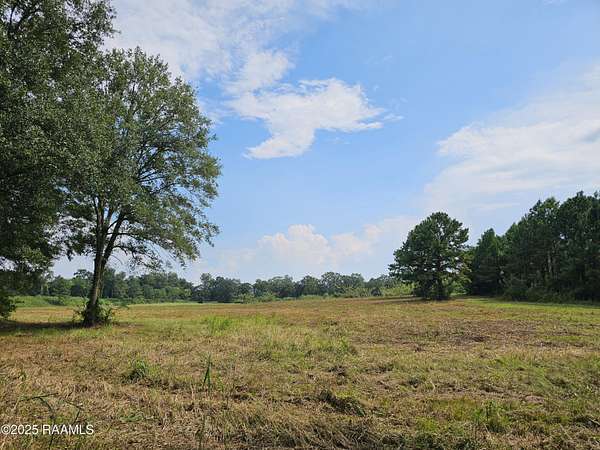 24.5 Acres of Land for Sale in Carencro, Louisiana