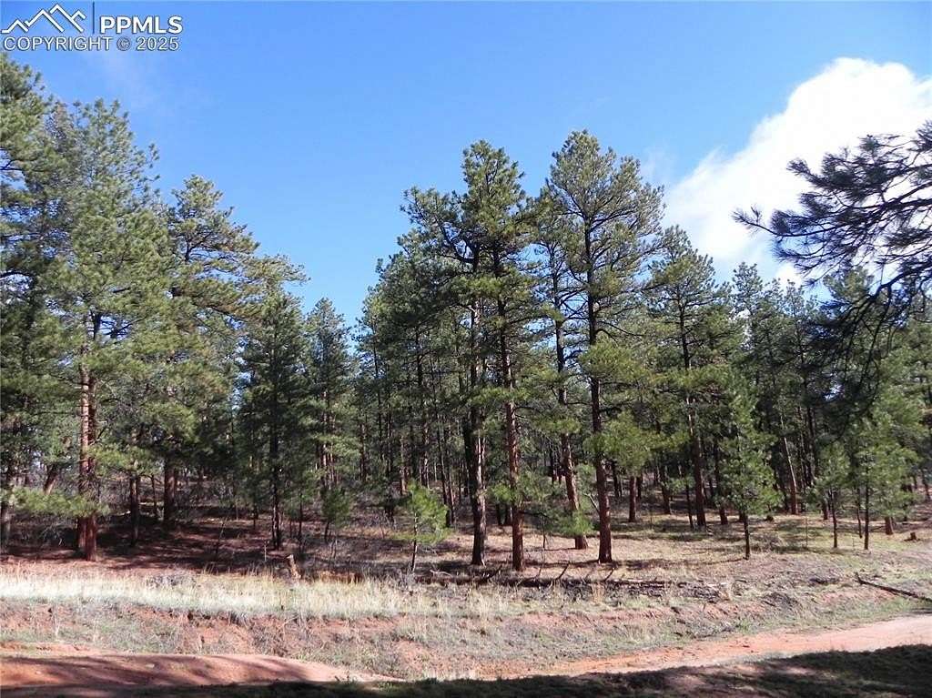1 Acre of Land for Sale in Larkspur, Colorado