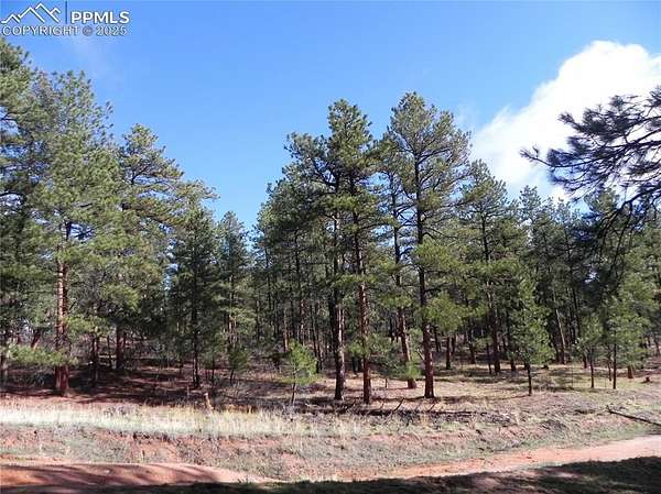 1 Acre of Land for Sale in Larkspur, Colorado