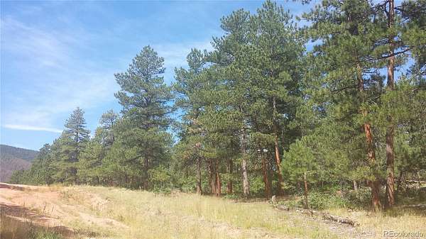 1 Acre of Residential Land for Sale in Larkspur, Colorado
