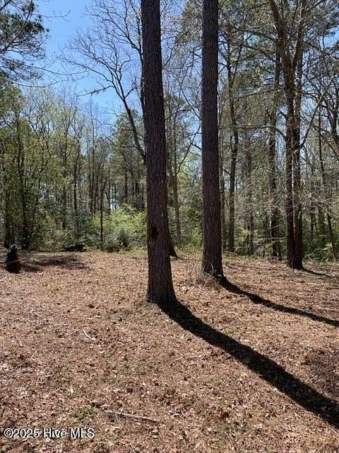 0.44 Acres of Residential Land for Sale in Leland, North Carolina