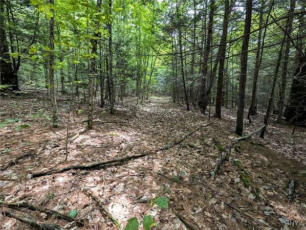 14.7 Acres of Recreational Land for Sale in Beaver Dams, New York