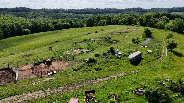 94.7 Acres of Land for Sale in Wadena, Iowa