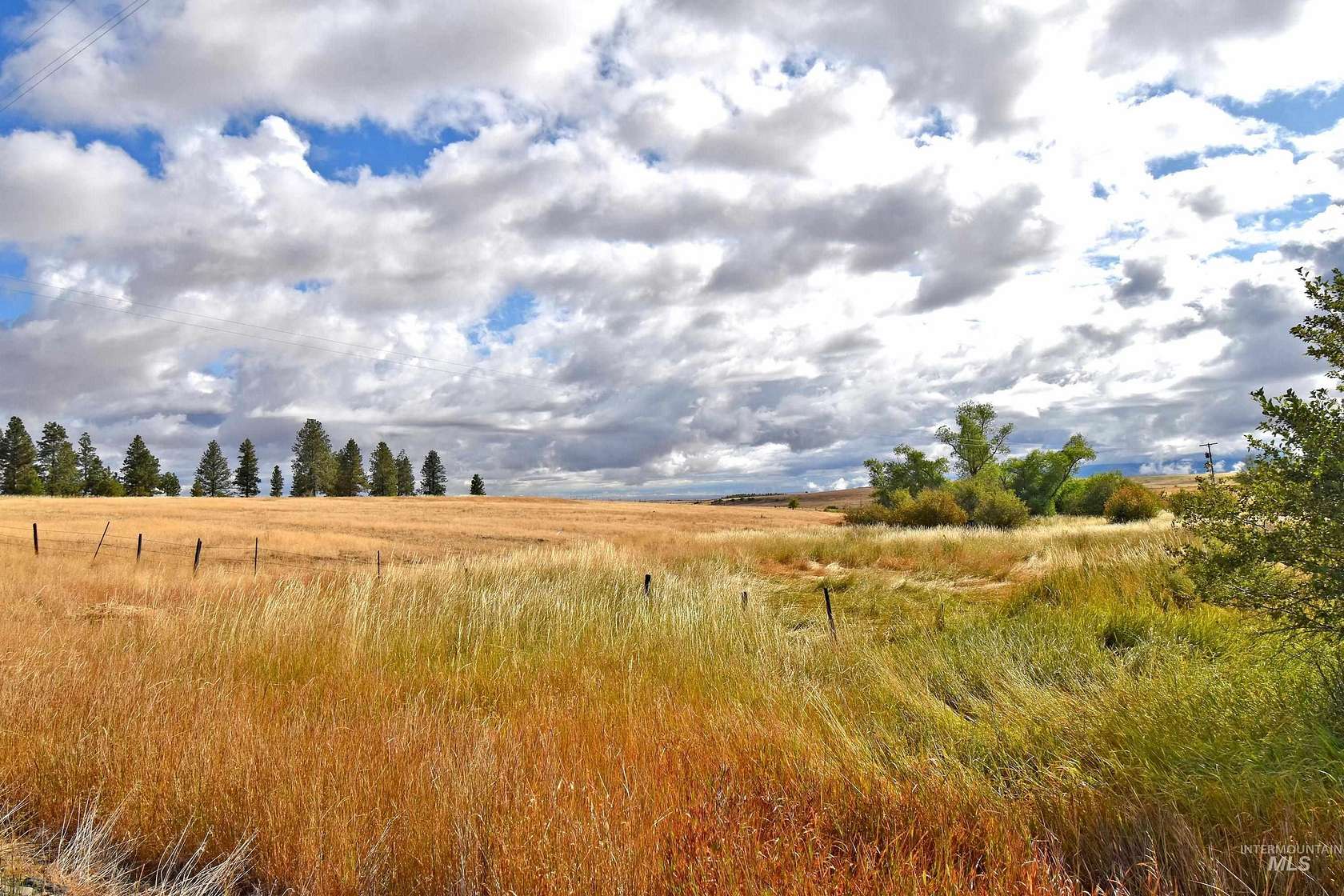 21.8 Acres of Agricultural Land for Sale in Anatone, Washington