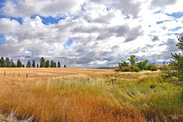 21.8 Acres of Agricultural Land for Sale in Anatone, Washington