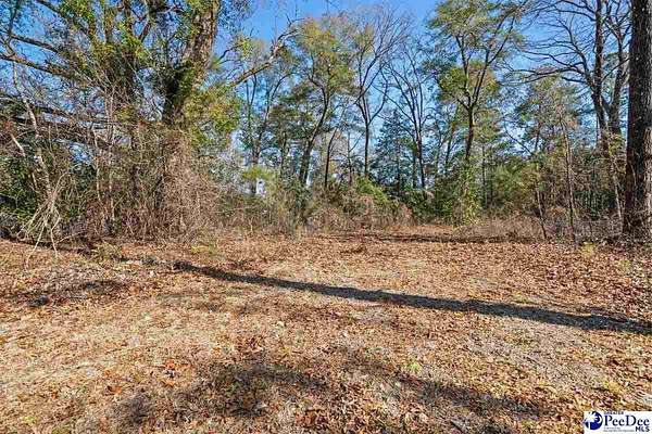 0.52 Acres of Residential Land for Sale in Florence, South Carolina