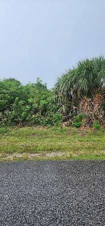 0.23 Acres of Residential Land for Sale in Port Charlotte, Florida