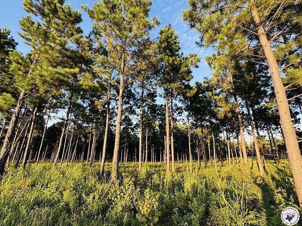 52 Acres of Recreational Land for Sale in Queen City, Texas