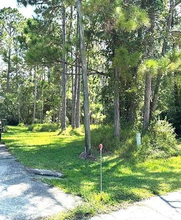 0.24 Acres of Residential Land for Sale in Palm Coast, Florida