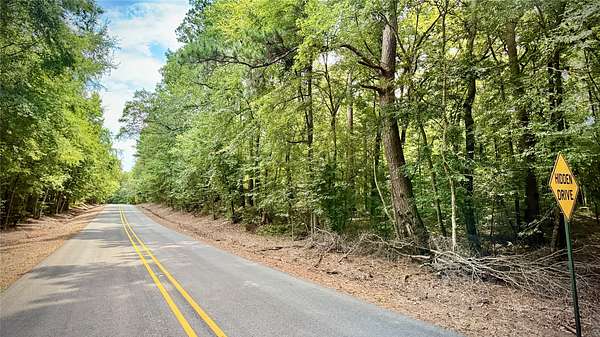 40 Acres of Recreational & Residential Land for Sale in Hosston, Louisiana
