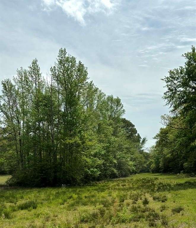 10.4 Acres of Land for Sale in Oakwood, Texas