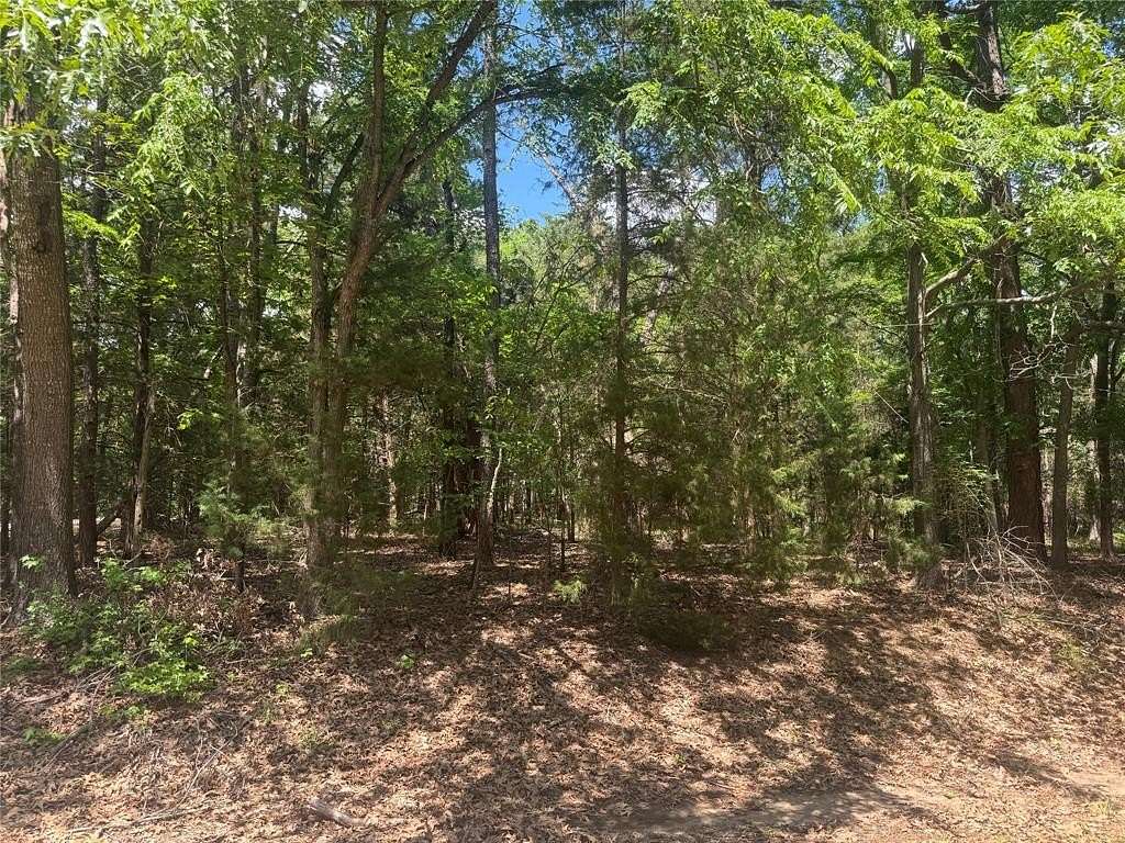 0.17 Acres of Residential Land for Sale in Mount Vernon, Texas