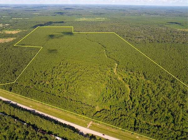227 Acres of Recreational Land for Sale in Kinder, Louisiana