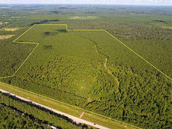 227 Acres of Recreational Land for Sale in Kinder, Louisiana