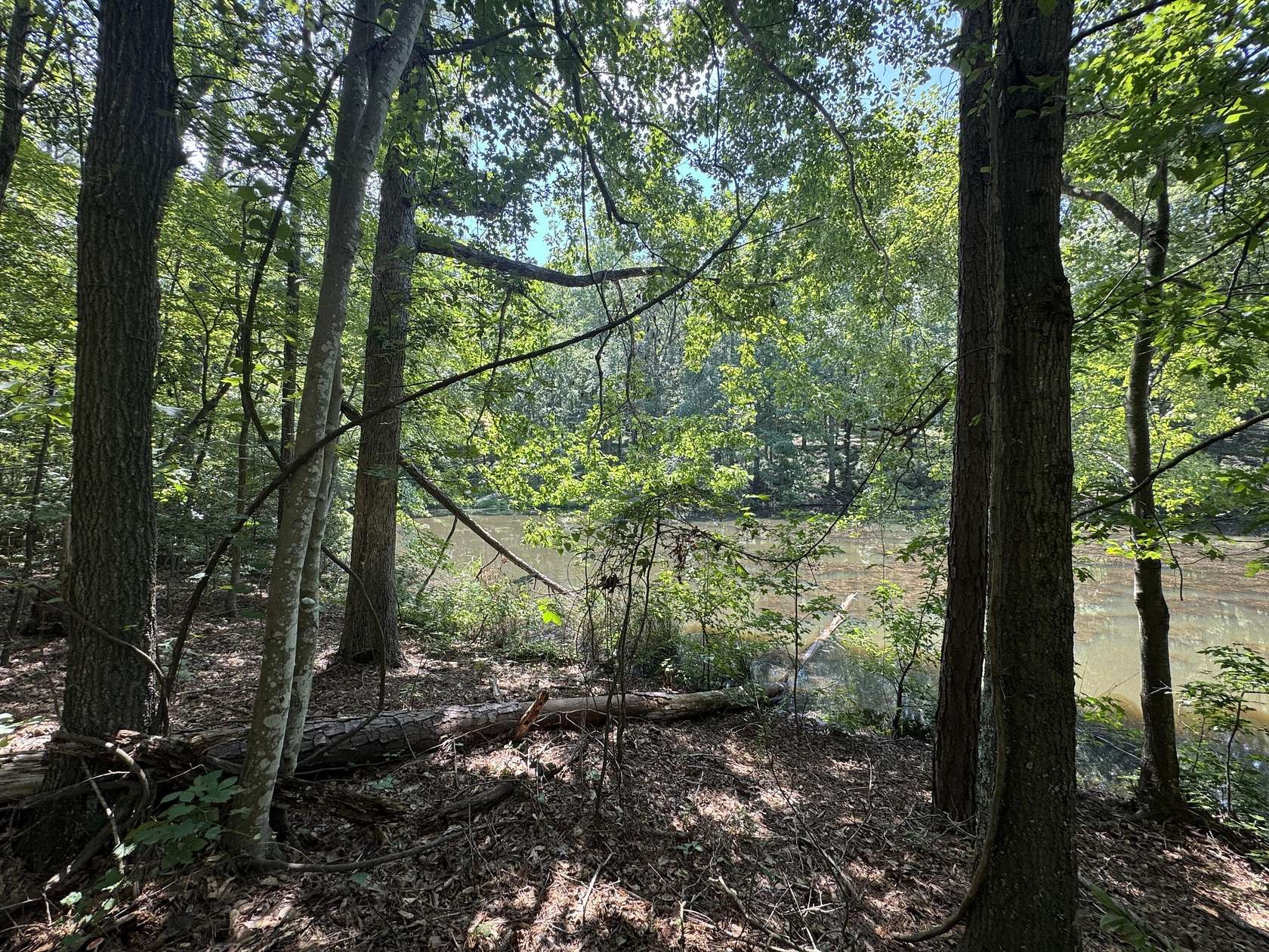 0.24 Acres of Residential Land for Sale in Trenton, South Carolina