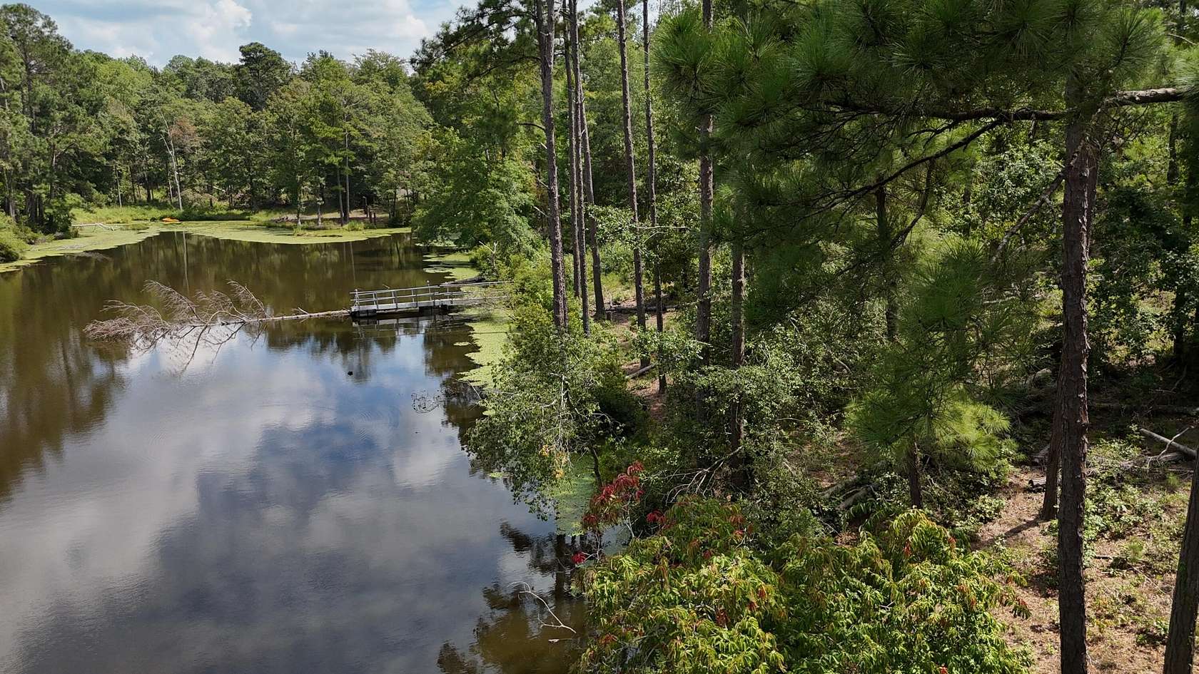 2.74 Acres of Residential Land for Sale in Trenton, South Carolina