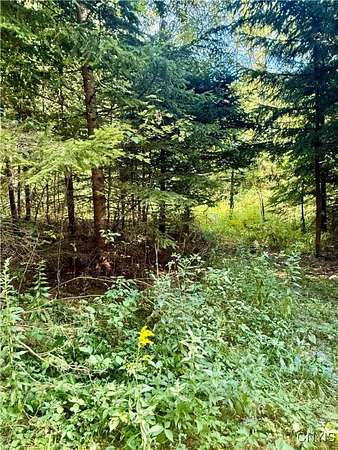 72.6 Acres of Recreational Land for Sale in Cincinnatus, New York