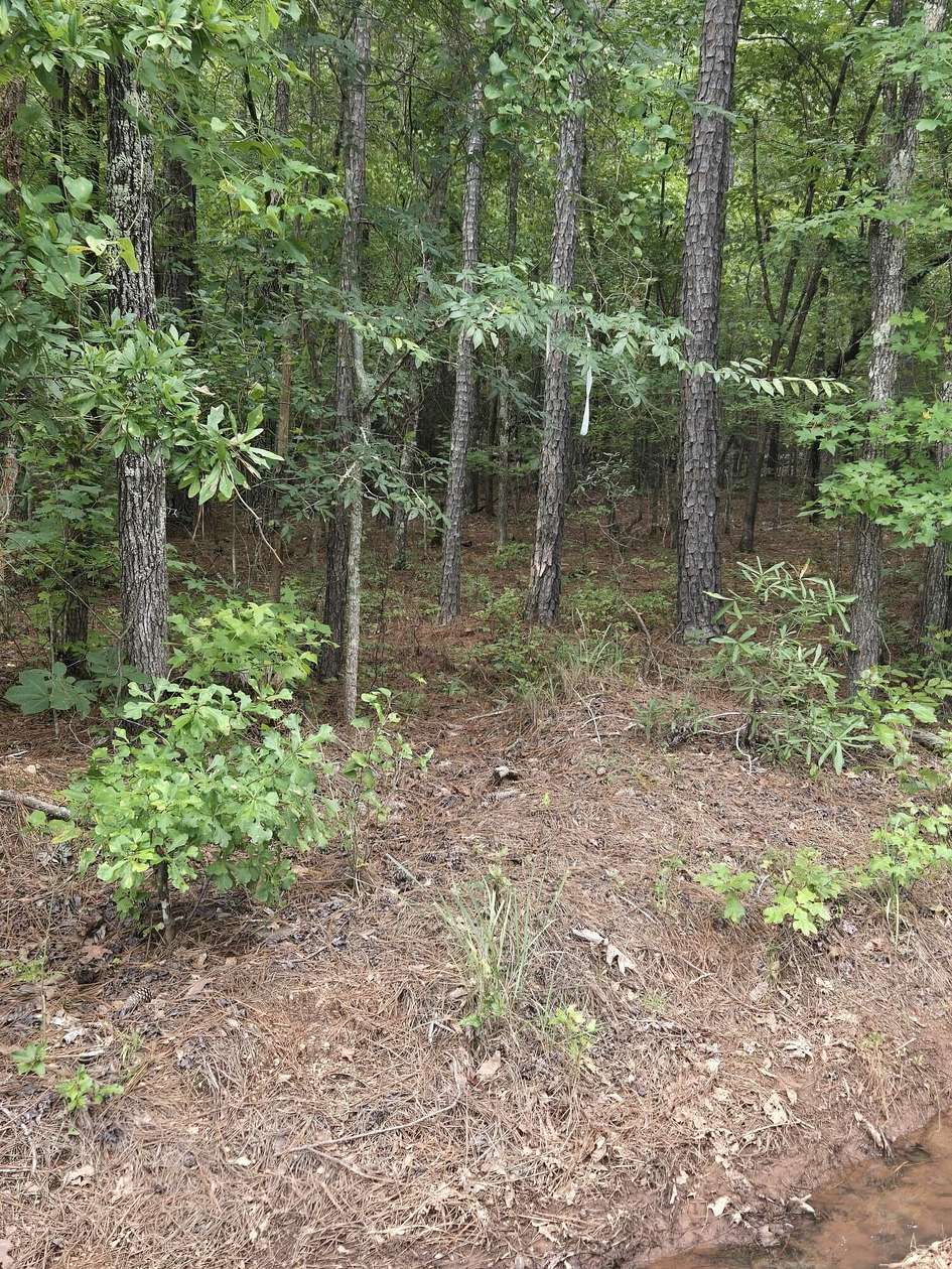 4 Acres of Residential Land for Sale in Tignall, Georgia