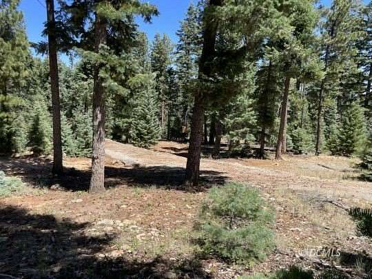 0.59 Acres of Residential Land for Sale in Duck Creek Village, Utah