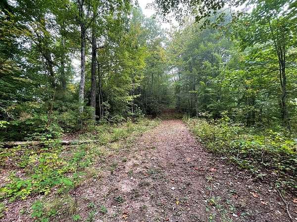 1.17 Acres of Land for Sale in Whittier, North Carolina