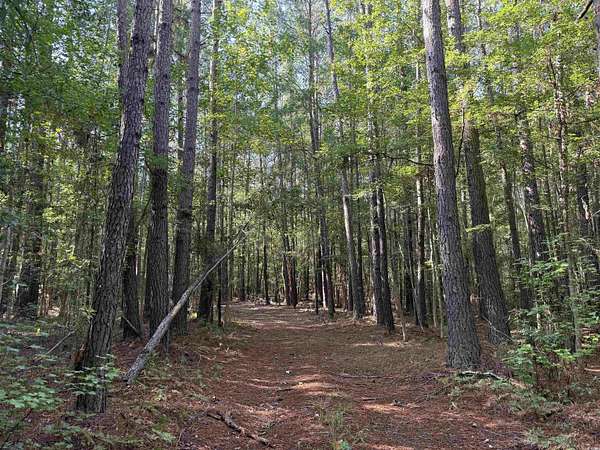 33.5 Acres of Recreational Land for Sale in Salters, South Carolina