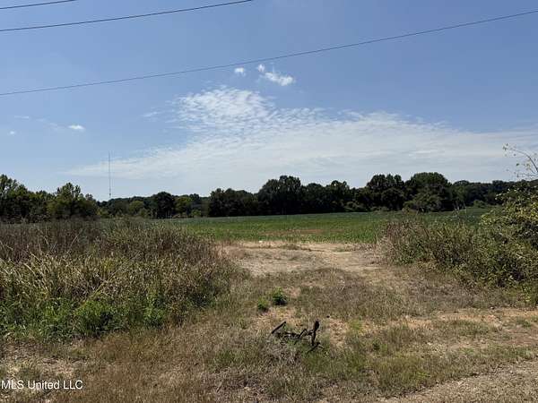 1 Acre of Residential Land for Sale in Hernando, Mississippi