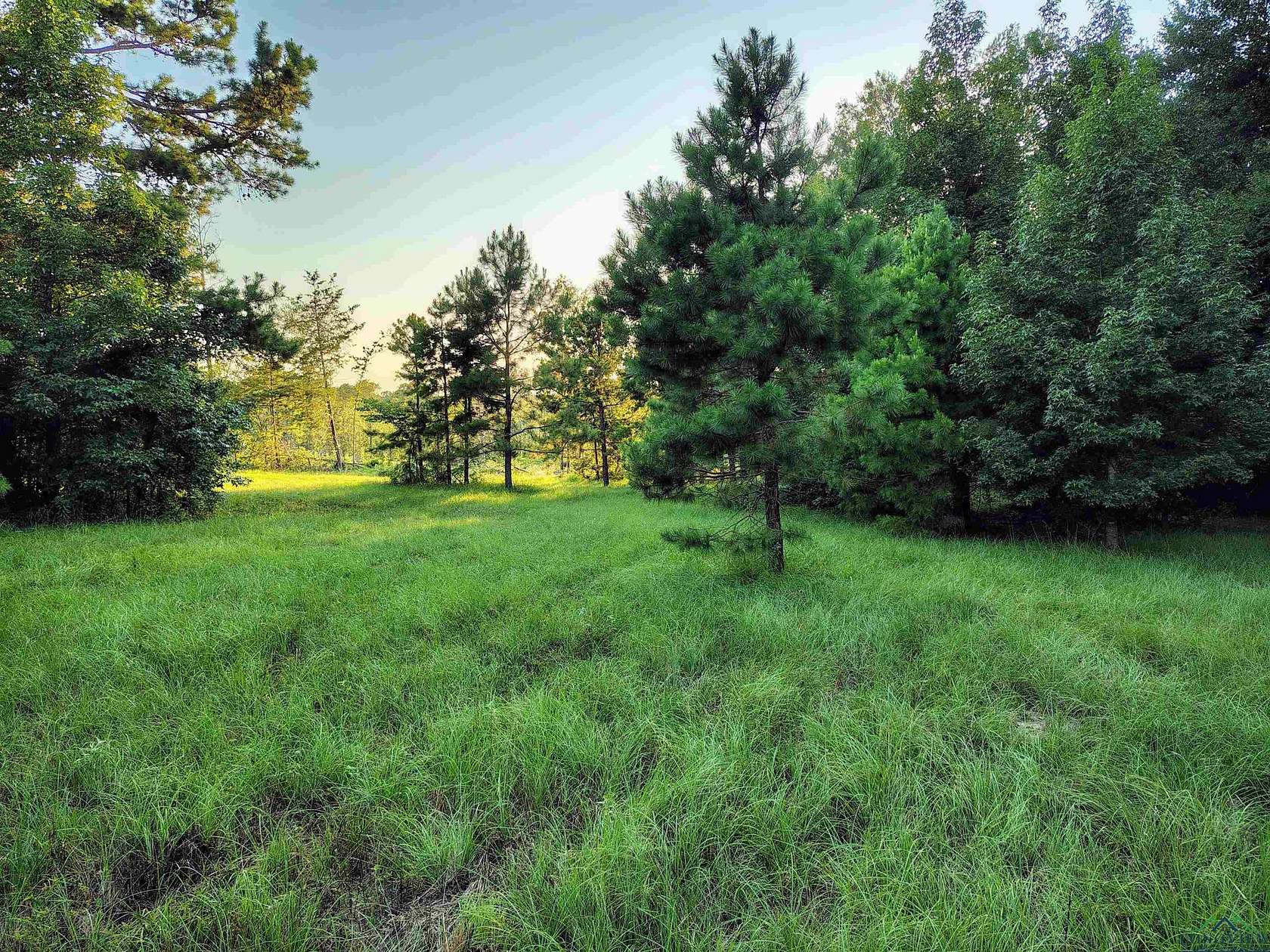 20 Acres of Land for Sale in Gilmer, Texas