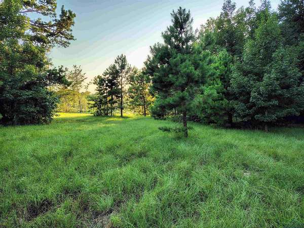 20 Acres of Land for Sale in Gilmer, Texas