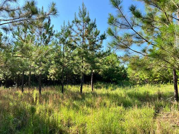 85 Acres of Land for Sale in Greenwood, South Carolina