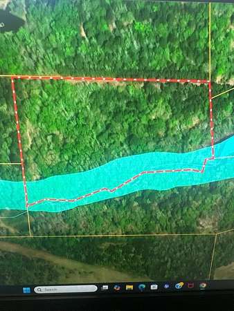 11.3 Acres of Land for Sale in Grapeland, Texas