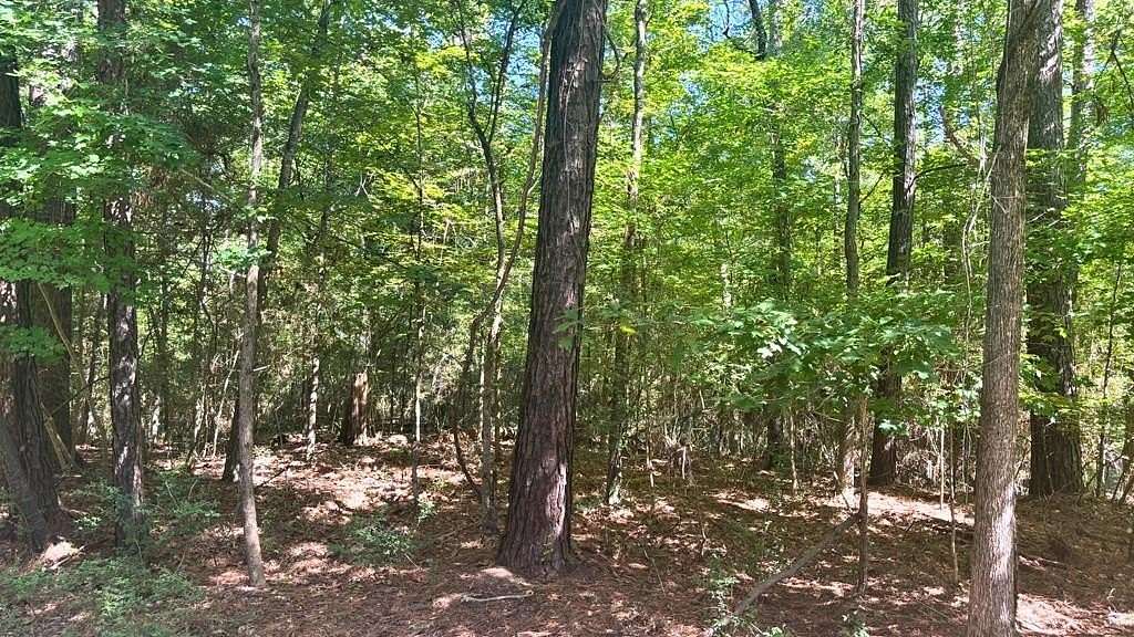 0.4 Acres of Residential Land for Sale in Broaddus, Texas