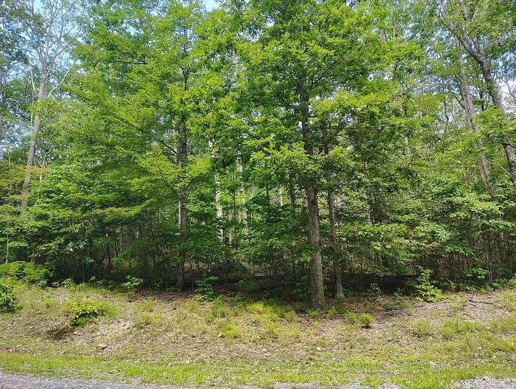 9.23 Acres of Residential Land for Sale in Tazewell, Virginia