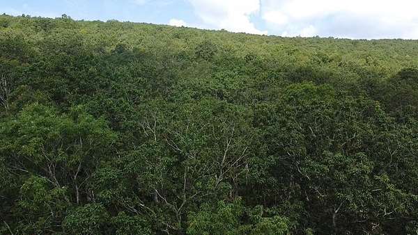 9.23 Acres of Residential Land for Sale in Tazewell, Virginia