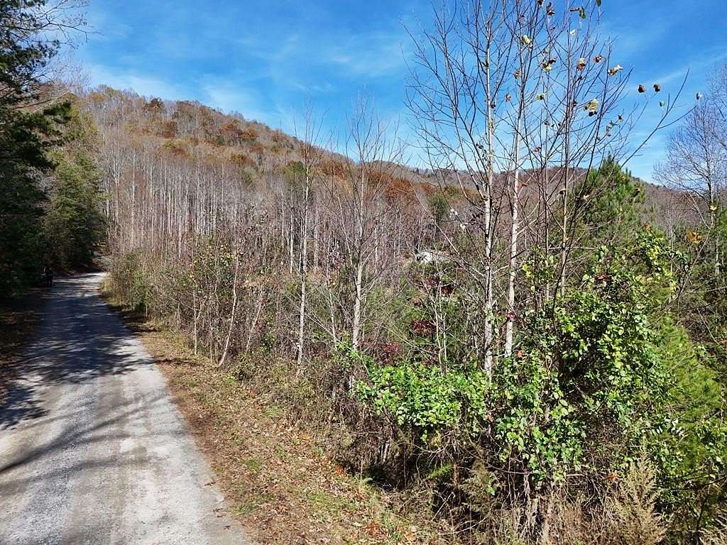 1 Acre of Land for Sale in Hayesville, North Carolina