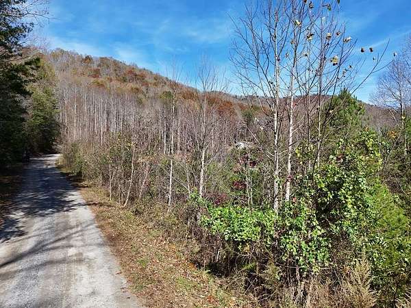 1 Acre of Land for Sale in Hayesville, North Carolina