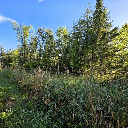 68.2 Acres of Recreational Land for Sale in Lachine, Michigan