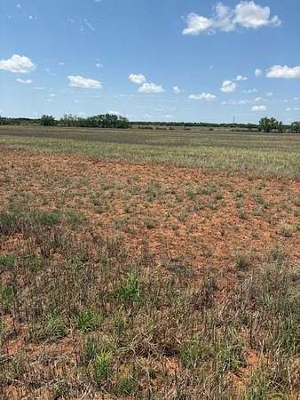 174 Acres of Agricultural Land for Sale in Bronte, Texas