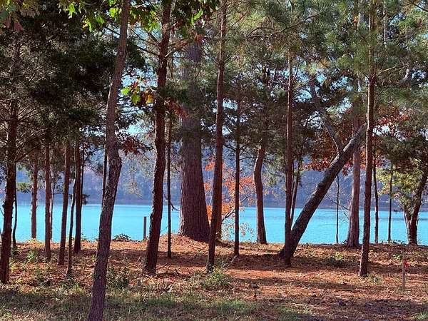 1.47 Acres of Residential Land for Sale in Cape Charles, Virginia