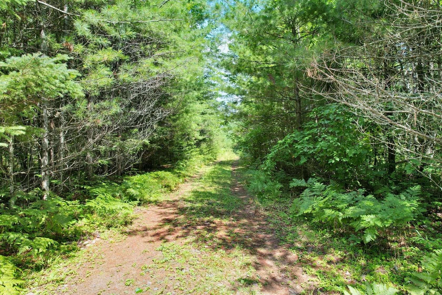 20.3 Acres of Recreational Land for Sale in Land O' Lakes, Wisconsin