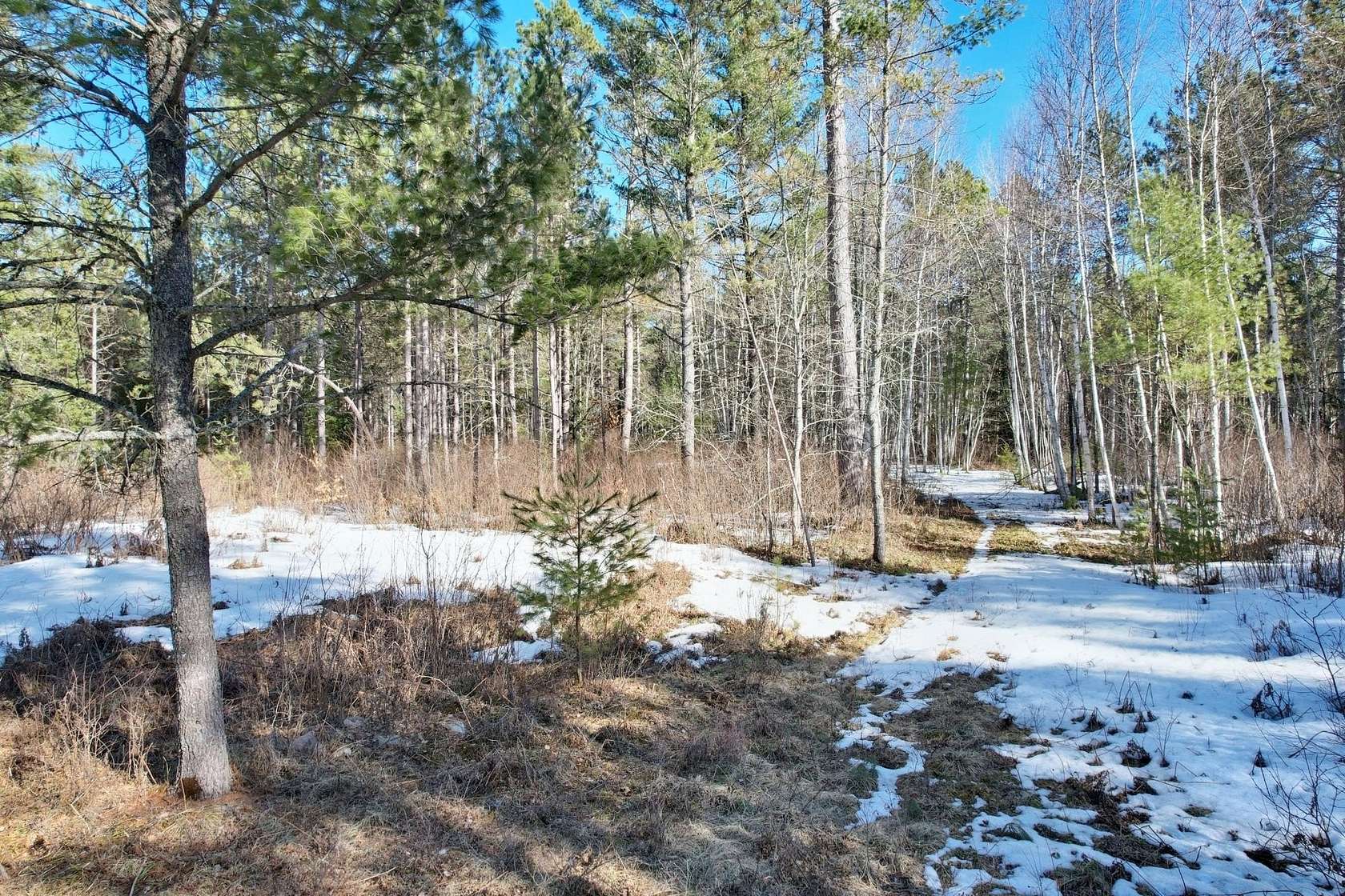 20.3 Acres of Recreational Land for Sale in Land O' Lakes, Wisconsin