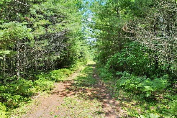 20.3 Acres of Recreational Land for Sale in Land O' Lakes, Wisconsin