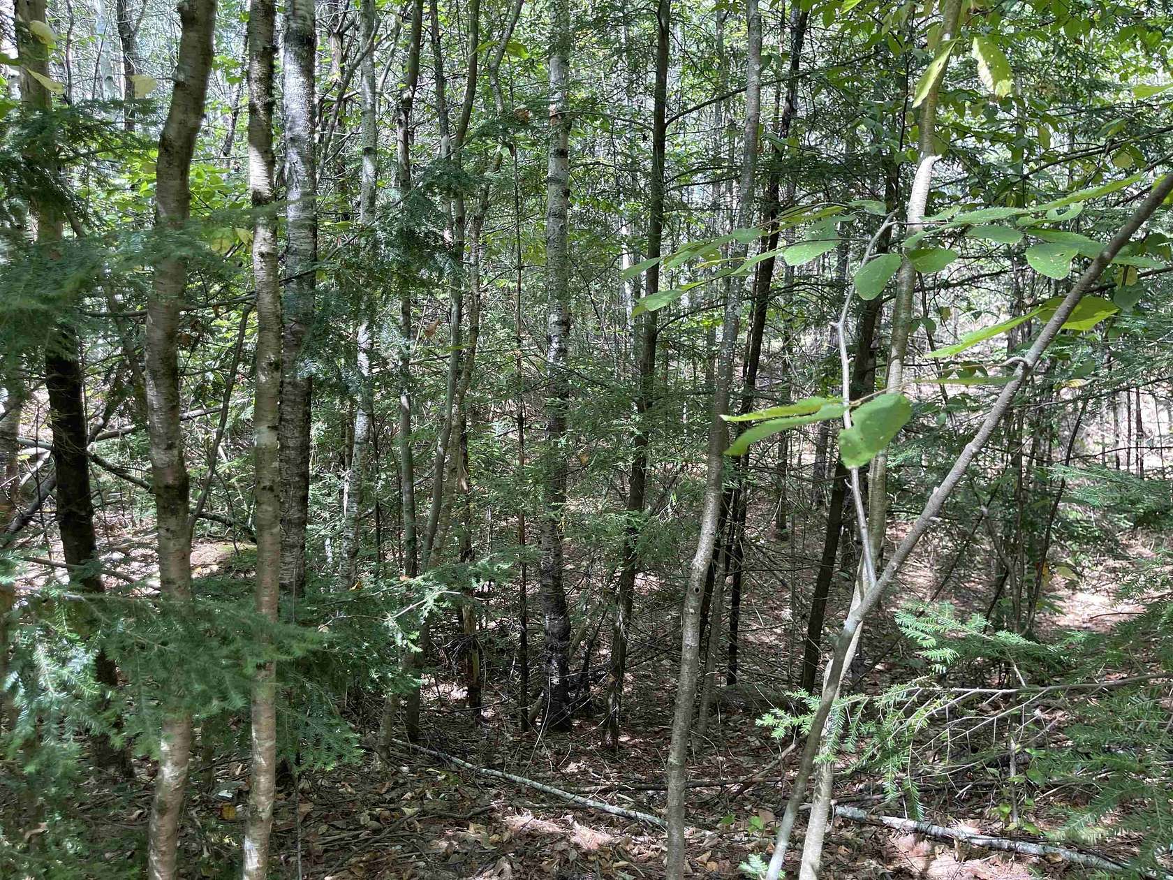 2.3 Acres of Residential Land for Sale in Hillsborough, New Hampshire