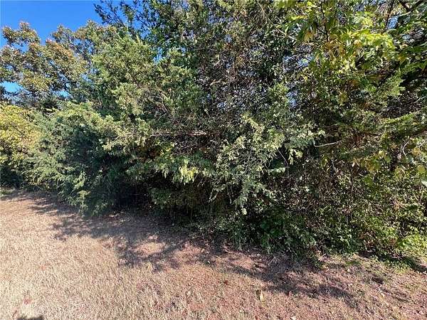 0.18 Acres of Land for Sale in Diamond City, Arkansas