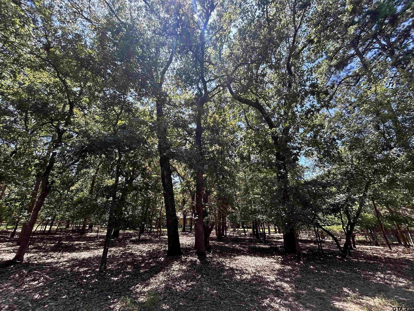 Residential Land for Sale in Holly Lake Ranch, Texas