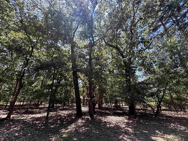 Residential Land for Sale in Holly Lake Ranch, Texas