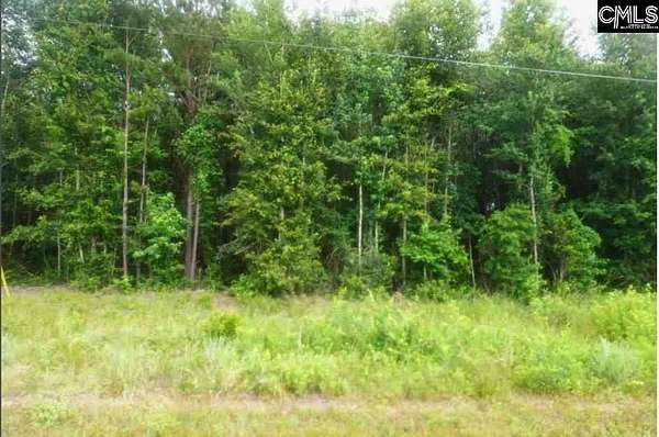 10 Acres of Recreational & Residential Land for Sale in Neeses, South Carolina