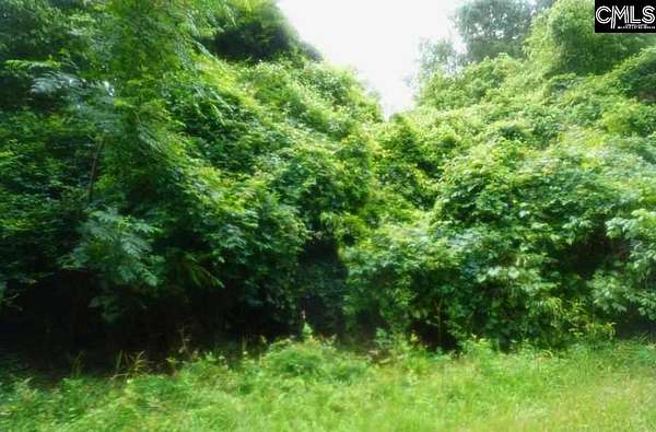 2 Acres of Residential Land for Sale in St. Matthews, South Carolina