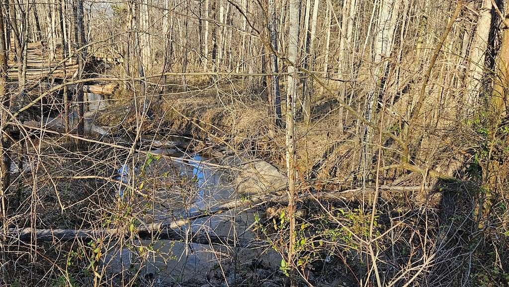 79.1 Acres of Recreational Land for Sale in Amelia Court House, Virginia