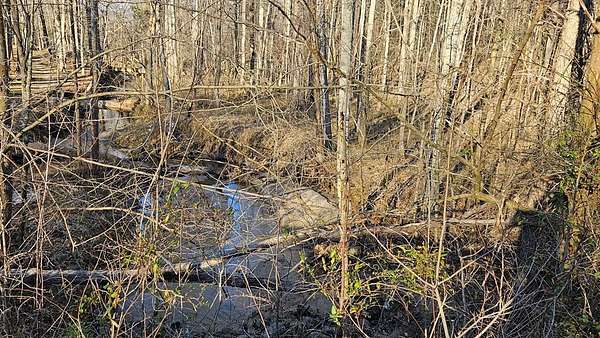 79.1 Acres of Recreational Land for Sale in Amelia Court House, Virginia